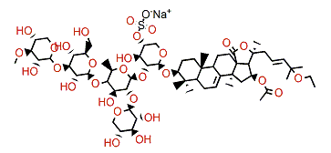 Cucumarioside H4